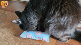 😻Blauw Snuffelzakje Gym Senior Kat – Soepel Blijven met Catnip, Valeriaan & Matatabi 🐾💛