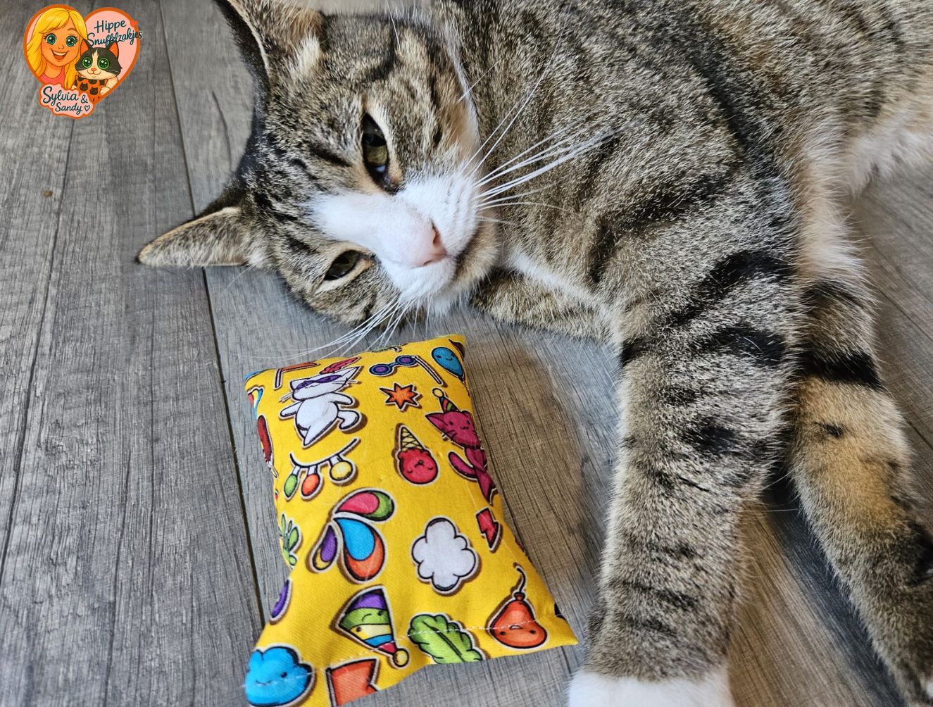Snuffelzakje Kat – Zomerfestival (Handgemaakt met Geurexplosie! Catnip, valeriaan én Matatabi)