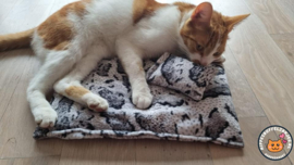 Kattenkleed Zachte fleece slang  35x35 + gratis  snuffelzakje  (geur naar wens) 3 OP VOORRAAD