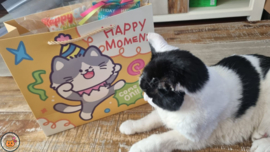 7 delige Mystery bag Happy Birthday Ultieme Experience (vijf verschillende geuren, knisper, belletje, staart en lintjes)