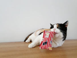 Snuffelzakje Verrassing (gevuld met catnip+ 1 cadeautje