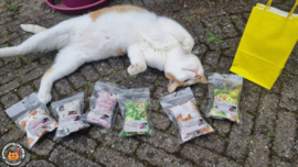UNIEK/ 6 delige kennismakkingspakket snuffelzakjes/ 6 verschillende geuren