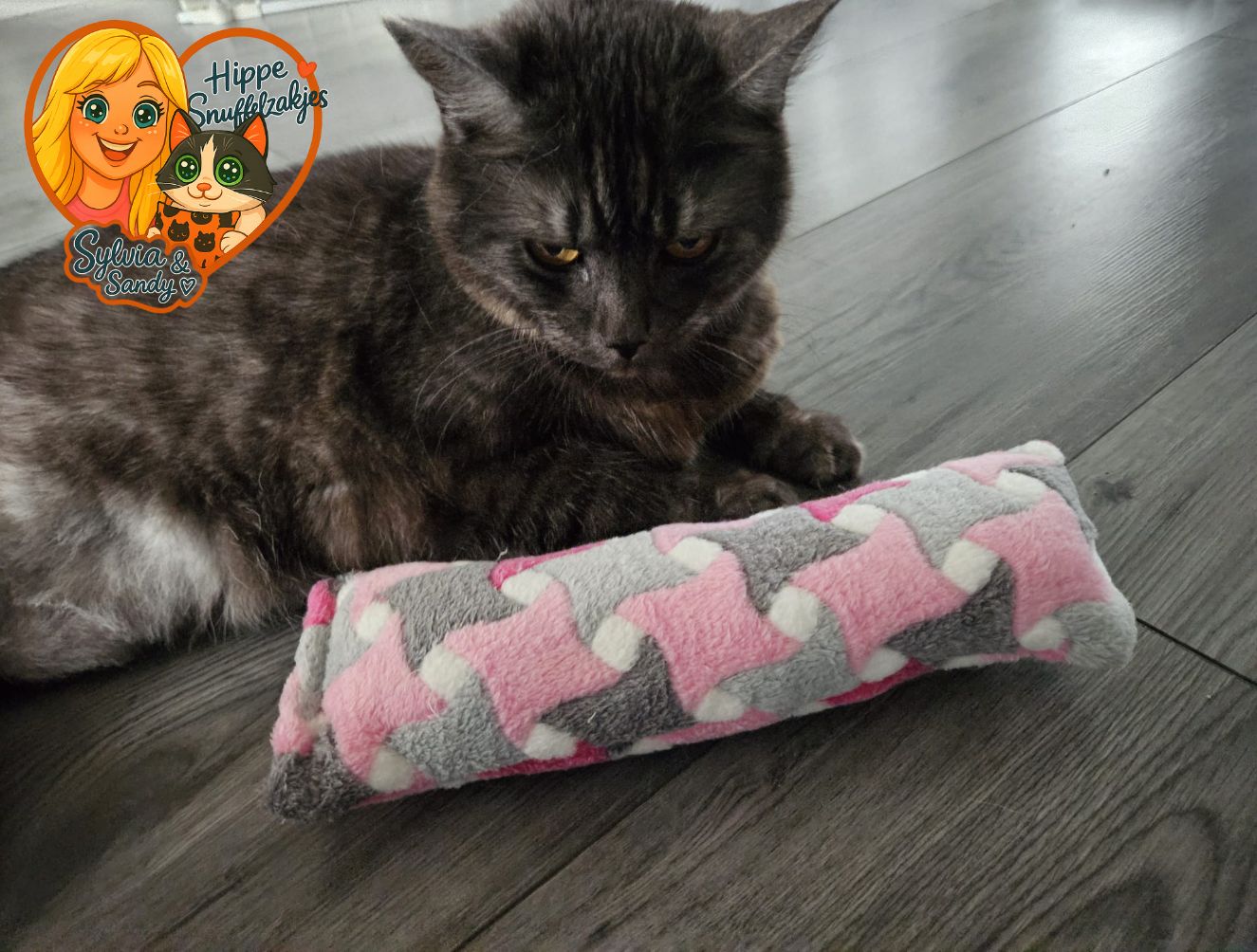✨ Limited Edition: Handgemaakt Snuffelzakje Gym XXL met Zachte Sterrenstof ✨Catnip