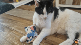 Snuffelzakje sterke Kat blauw (gevuld met geurexplosie)