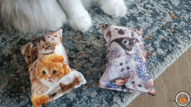 NIEUW/ 2 snuffelzakjes Knappe katten (gevuld met geurexplosie)