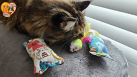 ❤️ MEEST VERKOCHT | Verrassingsset voor Katten 2 Snuffelzakjes + Cadeautje | Geurexplosie Editie