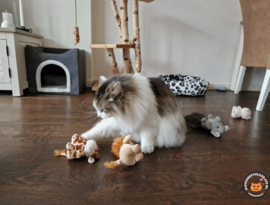 Snuffelgiraffe (gevuld met catnip én valeriaan)