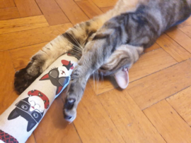 GROOT KATTENSPEELGOED/ Snuffelzak Gym XXL Funny cat (Gevuld met geurexplosie)