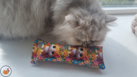 Snuffelzakje gym Vrolijke kat (gevuld met valeriaan)