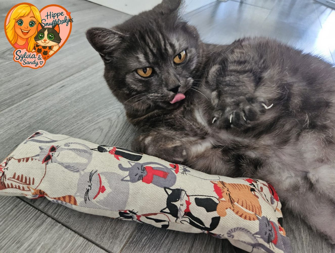 Snuffelzak Gym XXL Deftige kat(gevuld met geurexplosie)