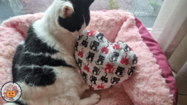 STUNTPRIJS Rood snuffelhart Lief poesje (gevuld met catnip én valeriaan) op voorraad