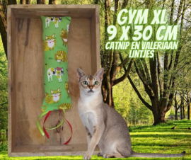 Snuffelzak Gym XXL Pret met lintjes  (gevuld met catnip én valeriaan) 1 op vooraad)