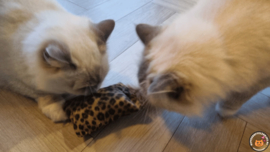 NIEUW/ Snuffelzakje  Wild animals met staart (gevuld met catnip én valeriaan)