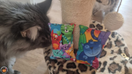 NIEUW/ 2 Snuffelzakjes Vrolijke Kat (gevuld met geurexplosie)