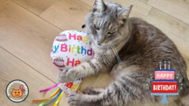 Snuffelballon Happy Birthday (roze) met lintjes, belletjes knisper (gevuld met catnip én valeriaan)