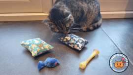 2 delige set snuffelzakjes Verrassing (gevuld met catnip en valeriaan) + 2 cadeautjes