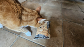 Slaap/speelkussen voor fanatieke katten (gevuld met catnip, valeriaan en matatabi)