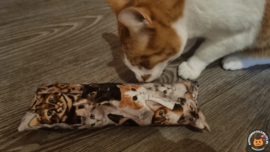 STUNTAANBIEDING MAANDAG Snuffelzak Gym XXL  Knappe kat (gevuld met catnip)