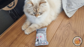 Snuffelzakje Happy Gray (catnip én valeriaan)