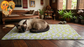 AANBIEDING /  Lichtgroen Vensterbankkussen met Witte Katten – Zacht & Dromerig Ligplekje 🐾( GEVULD ZONDER GEUR)