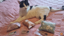 FEESTPRIJS 3 delige Starterspakket snuffelzakjes Lieve kat (gevuld met catnip, valeriaan en matatabi )