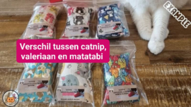 "De verschillen tussen catnip, valeriaan en matatabi: welke geur is jouw kat’s favoriet?"