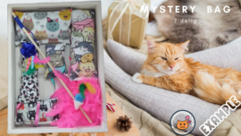 VERRASSINGSFLASH SALE  Mystery bag (gevuld  met catnip)