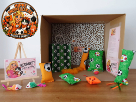 AANBIEDING🧡⚽️ WK Voetbal Mystery Bag voor katten 😻