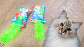 Snuffelzakje Geluid Vrolijke kat met groene staart  (gevuld met catnip, matatabi knisper)