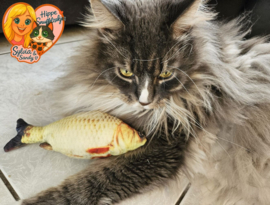 Snuffelvis (gevuld met geperst catnip)