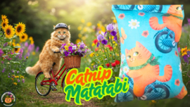 matatabi én catnip