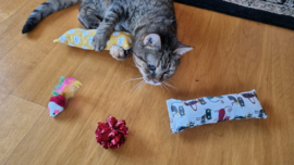 2 delige set snuffelzakjes gym Verrassing (gevuld met catnip ) + 2 cadeautjes