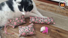 DAGSTUNT 4 delige startersset Pink panter(gevuld met catnip, valeriaan en matatabi)