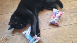 NIEUW/ 2 snuffelzakjes Fantasy cat+ roze (gevuld met matatabi)