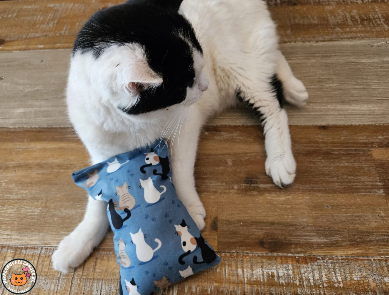 Slaap/speelkussen Prachtige kat BLAUW (gevuld met matatabi)