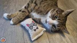 Snuffelzakje Extra stevige stof (gevuld met geurexplosie)