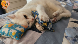 BEKEND VAN TIKTOK / Friemel– 2-delige snuffelzakjes set met catnip, valeriaan & matatabi (licht- en donkerblauw)