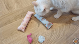 2 delige set snuffelzakjes gym Zoete kat (gevuld met catnip ) + 2 cadeautjes