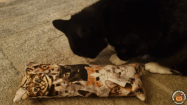 STUNTAANBIEDING MAANDAG Snuffelzak Gym XXL  Knappe kat (gevuld met catnip)
