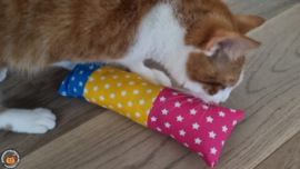Snuffelzak Gym XXL Vrolijke sterren (gevuld met geurexplosie)