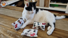 Starterspakket snuffelzakjes Deftige kat (gevuld met matatabi én catnip)+ 2 cadeautjes