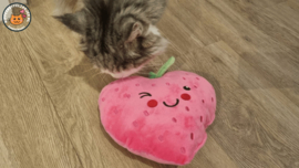 STUNTVERKOOP Roze Snuffelaardbei (gevuld met matatabi)