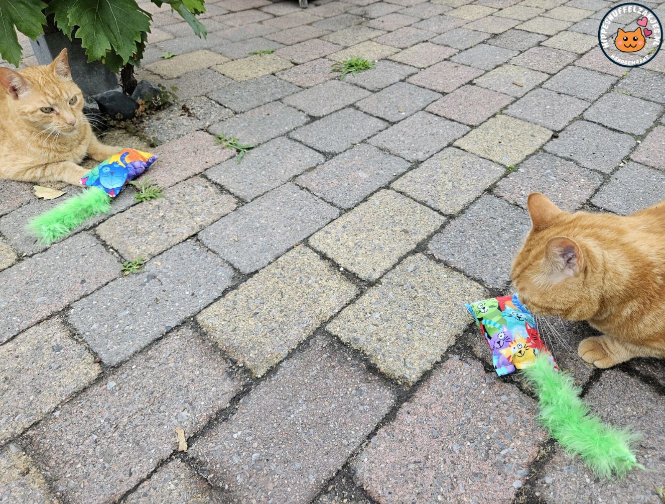 Snuffelzakje Geluid Vrolijke kat met groene staart  (gevuld met catnip, matatabi knisper)