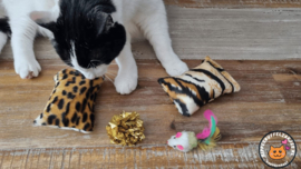 DAGACTIE 2 delige set snuffelzakjes verrassing Wild animals ( gevuld met catnip) + 2 cadeautjes