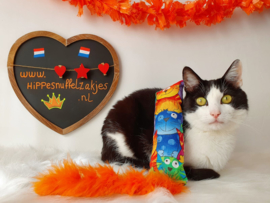 Snuffelzakje gym Disco met oranje staart (gevuld met geurexplosie)