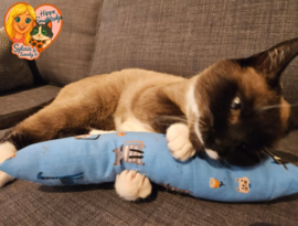 Snuffelzak Gym XXL Blauwe kattenprint  (gevuld met matatabi)