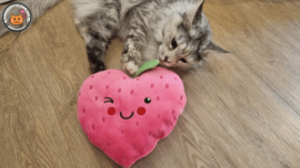 STUNTVERKOOP Roze Snuffelaardbei (gevuld met catnip én valeriaan)