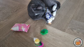 2 delige set snuffelzakjes Verrassing (gevuld met catnip en valeriaan) + 2 cadeautjes