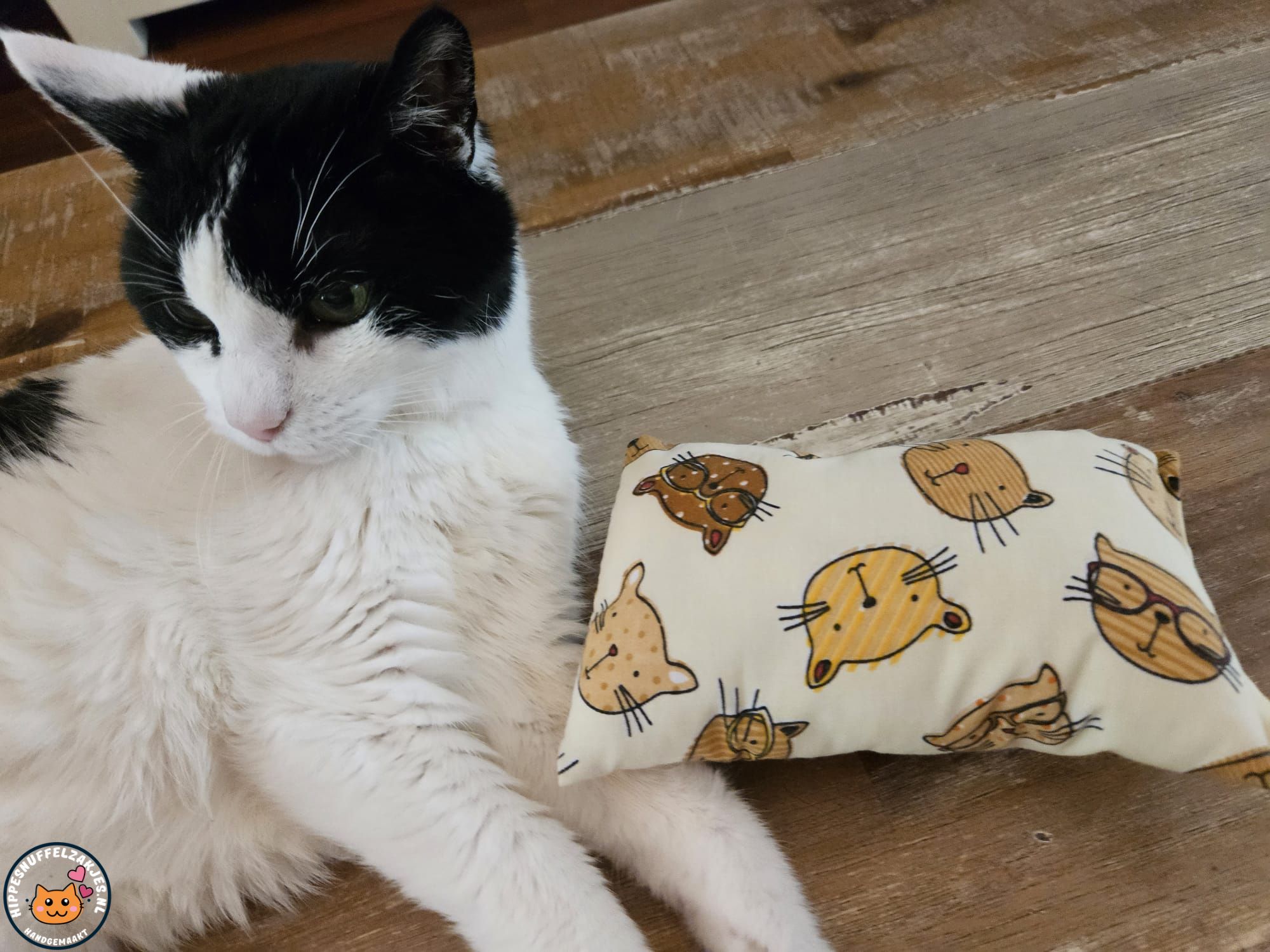 Slaap/speelkussen Kat (gevuld met catnip én valeriaan)