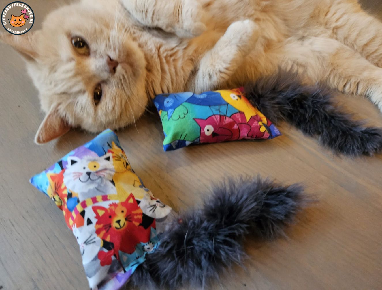 Snuffelzakje Geluid Vrolijke kat met grijze staart  (gevuld met catnip, matatabi knisper)